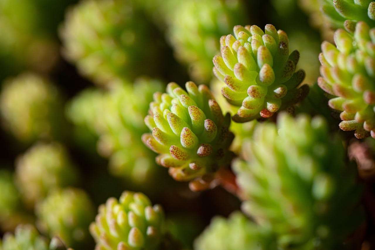 初中生如何写好英语日记？5篇实用英语作文带你入门