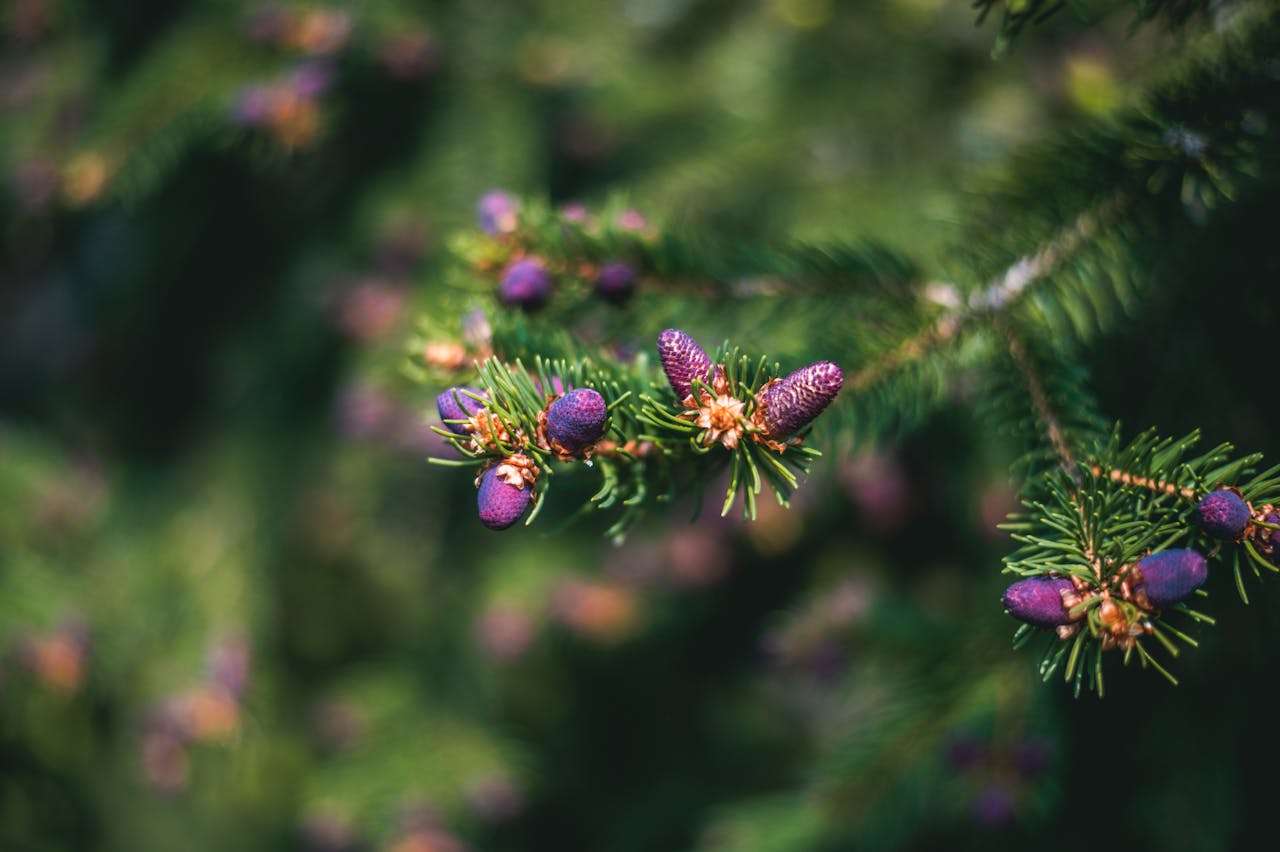 科技与生活：3篇初中英语作文+未来趋势话题解析