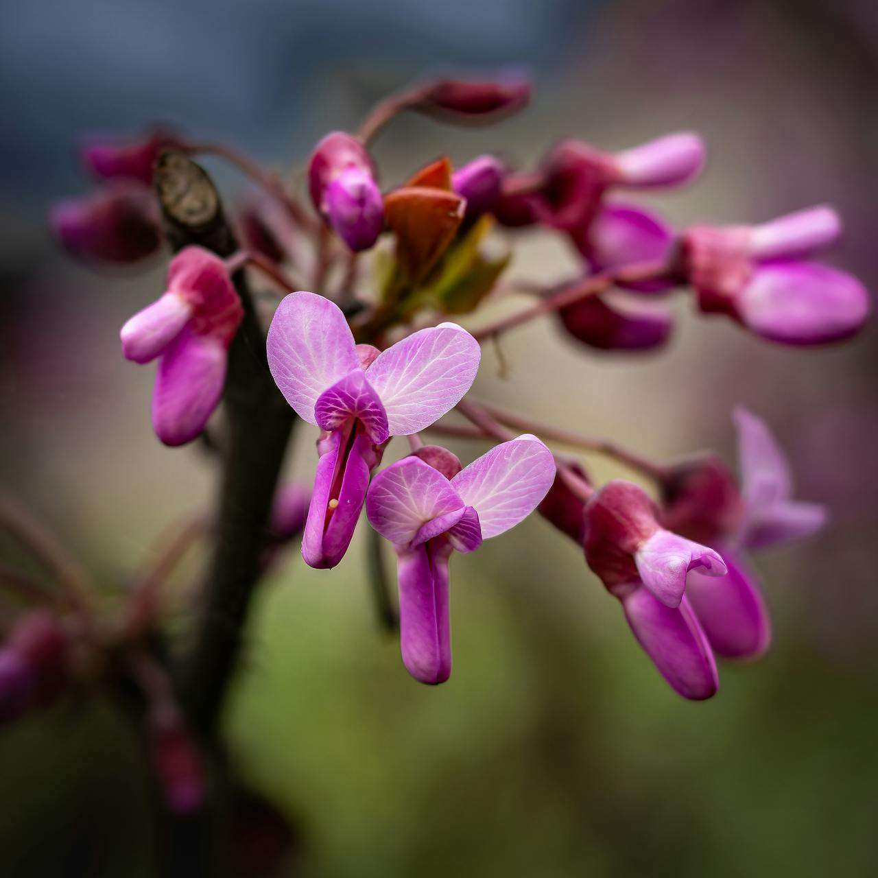 友谊的重要性：3篇温暖人心的英语作文 