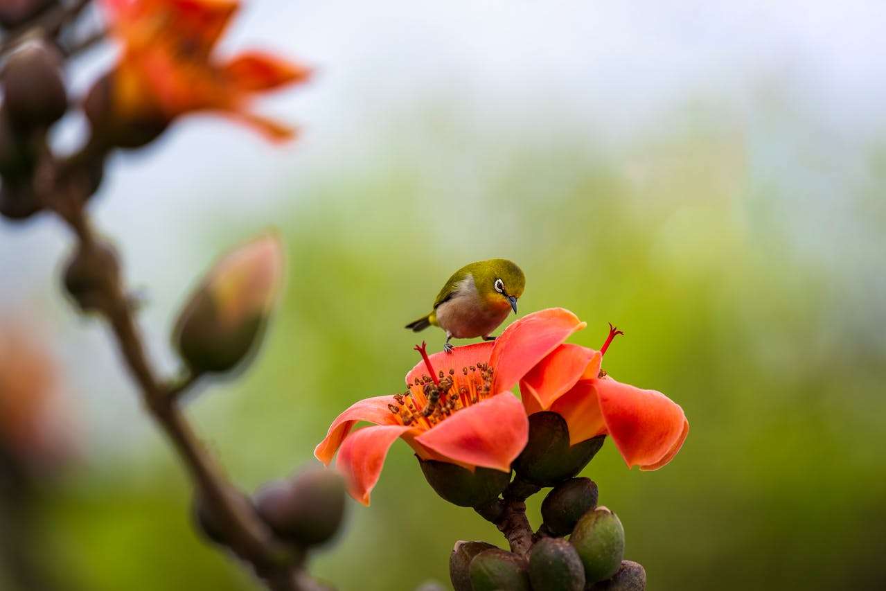 科技与生活：4篇高中英语议论文+高分词汇