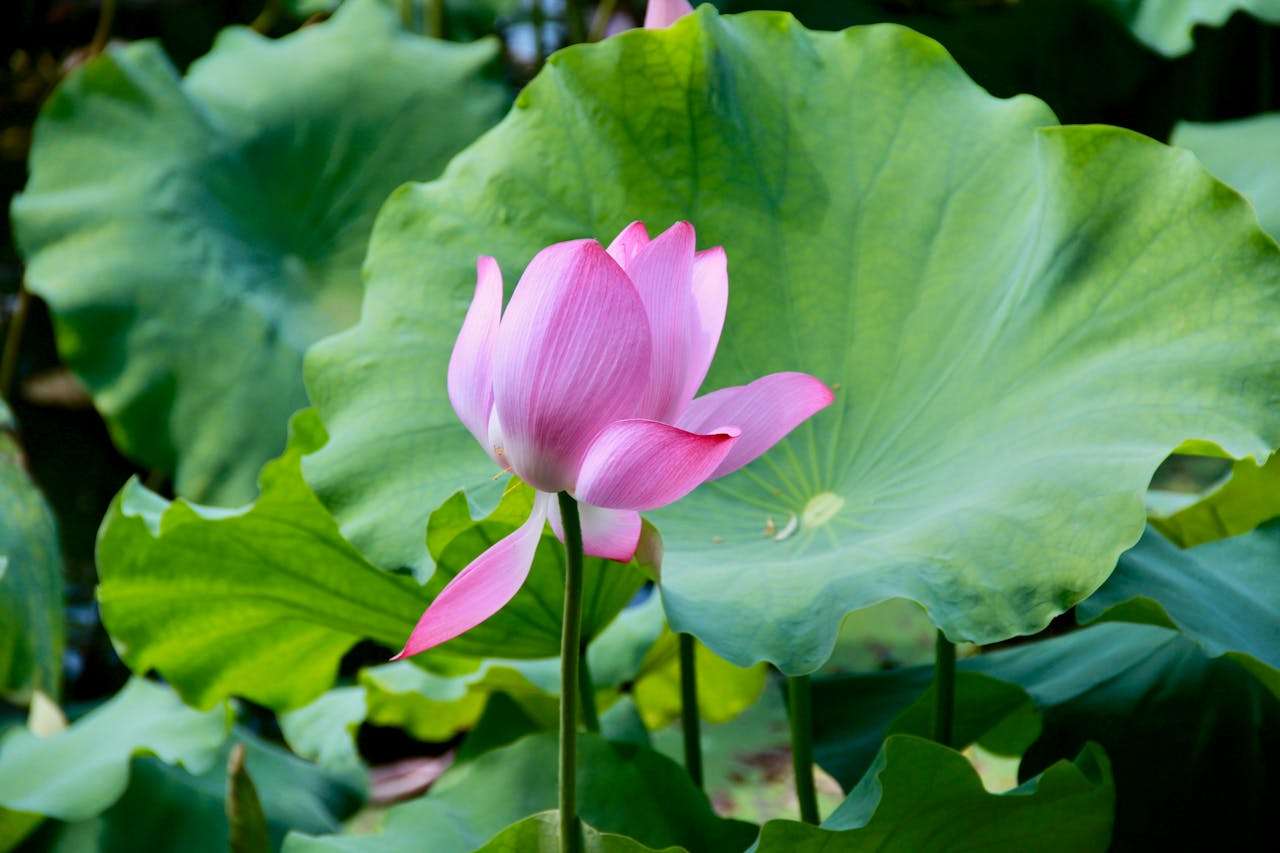 高中英语应用文写作指南：书信、通知、演讲稿合集