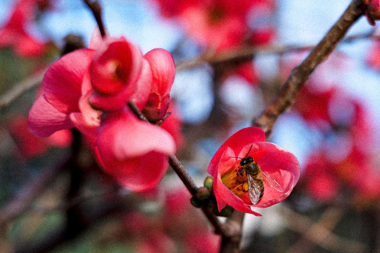 从海明威学情绪描写：五句经典英文解析，掌握高级情感词汇