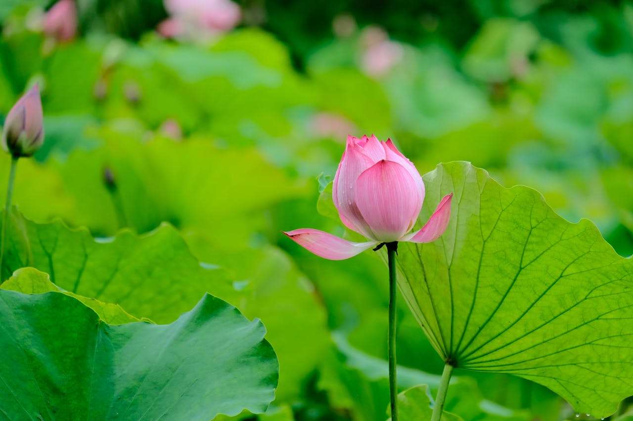 描写心情的高级英语词汇：从海明威句子中学情绪表达