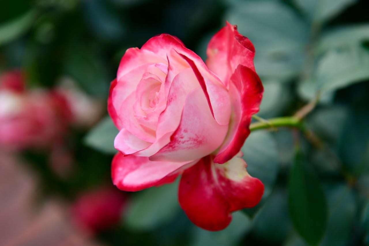 跨境电商卖家必备：10个高效英文客服邮件模板