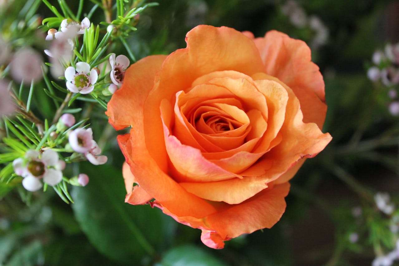 职场晋升加分项：10个日常办公英文邮件模板大全