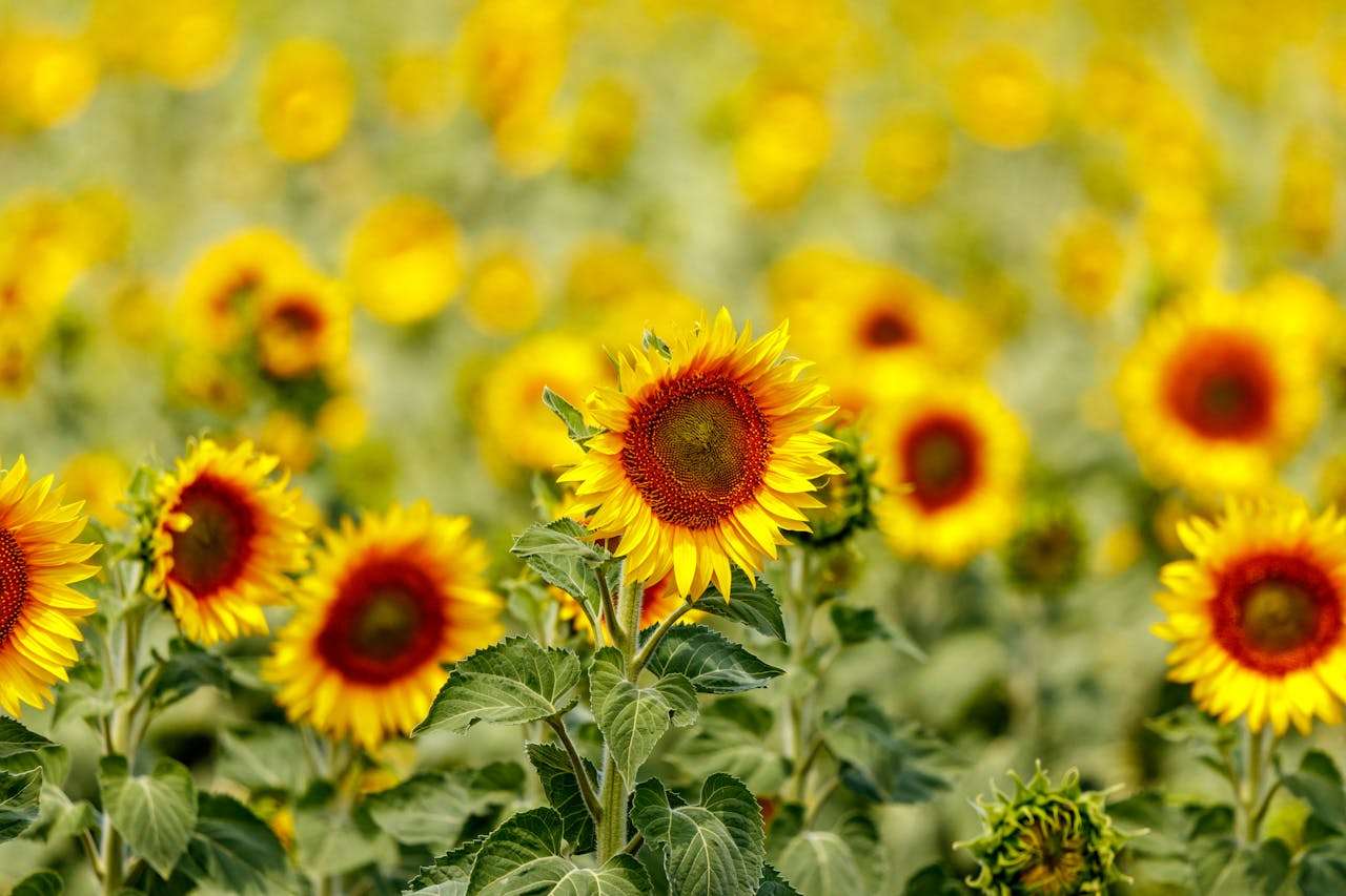 客户投诉怎么办？8个英文售后处理邮件模板轻松应对