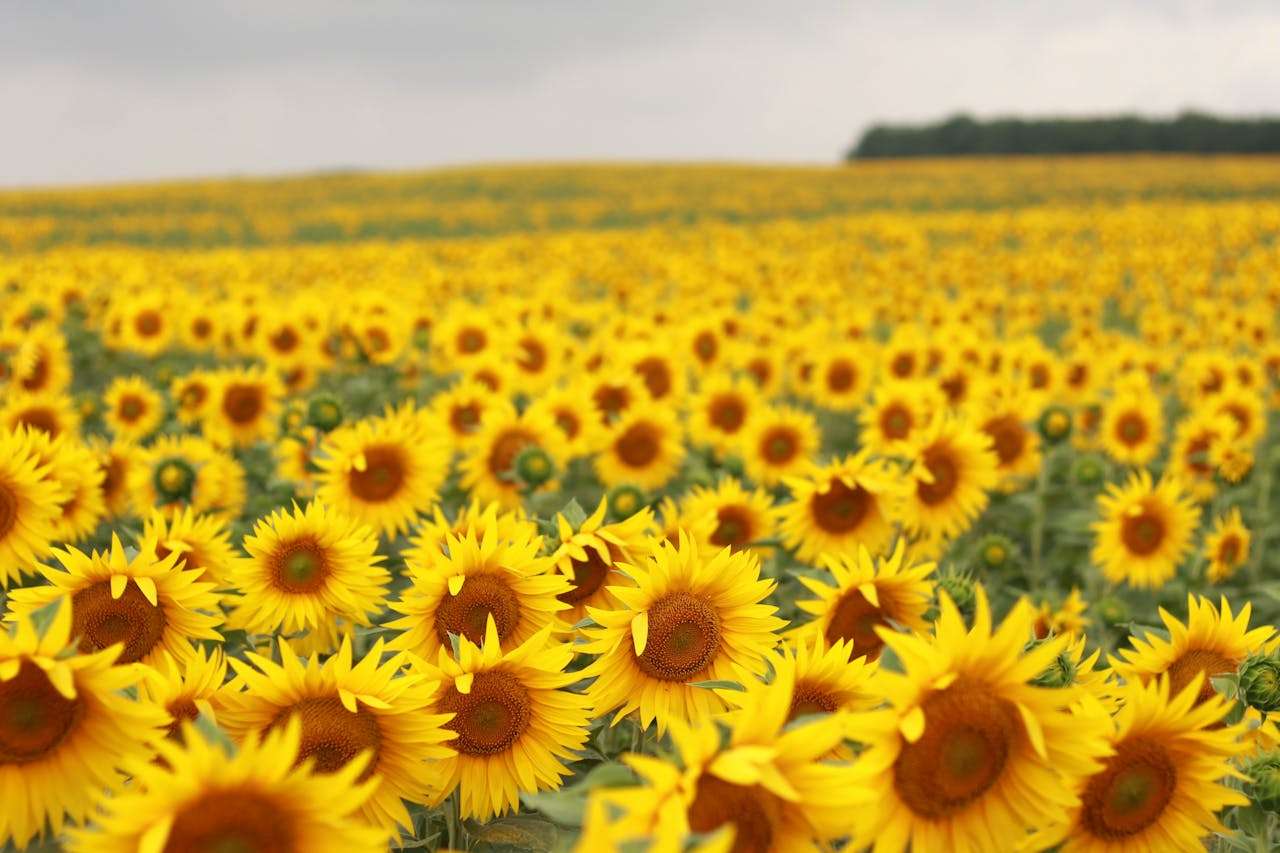 客户投诉怎么回？8个英文售后处理邮件模板拿去用