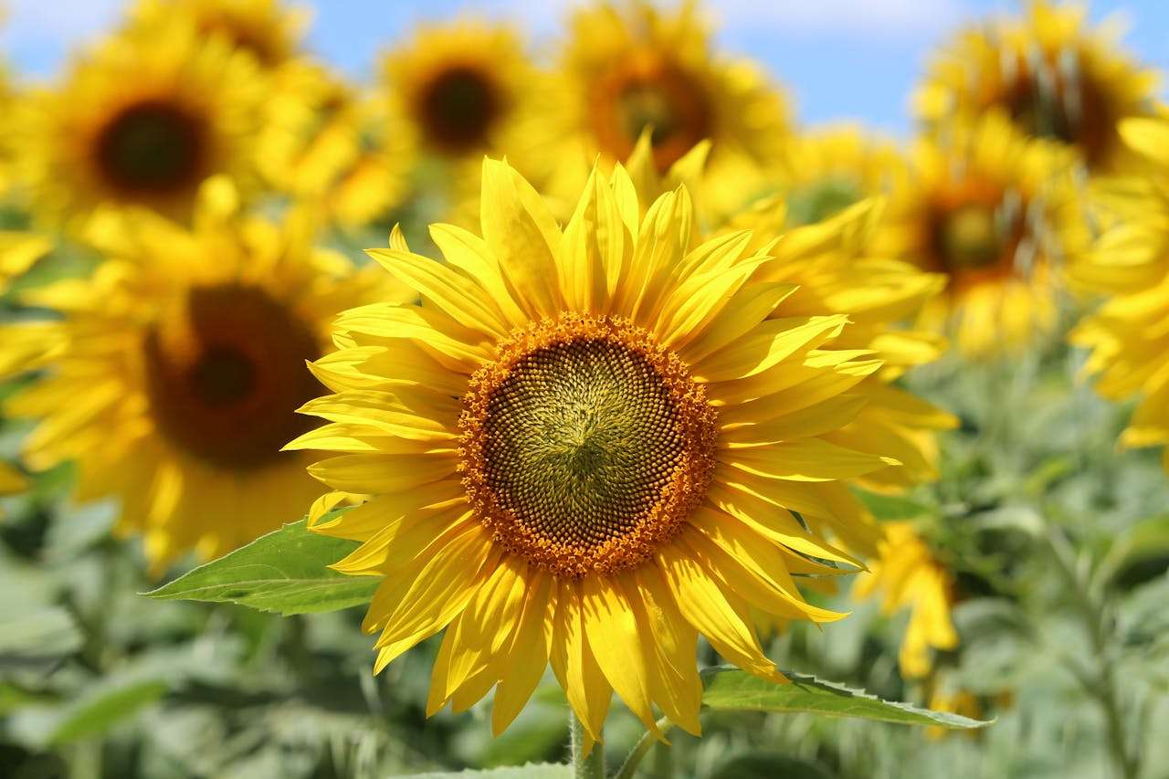 高效办公利器：10个常用英文工作邮件模板，节省80%写作时间