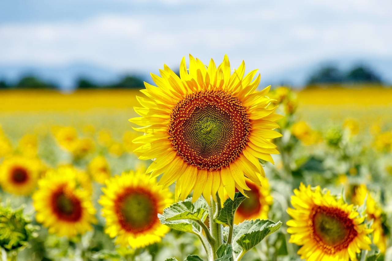 拿下订单的关键：7个专业英文报价邮件模板（含跟进策略）