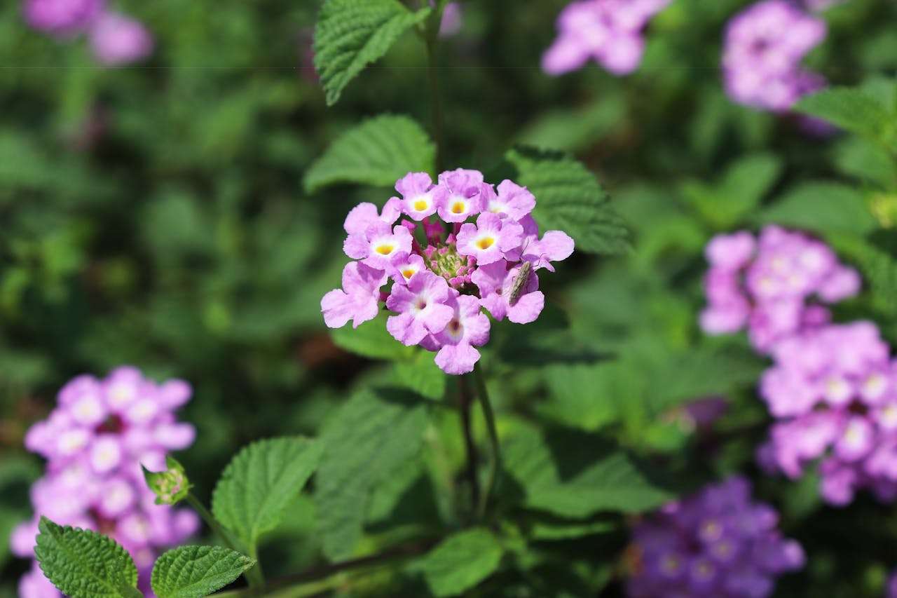 客户投诉别慌！9个英文售后处理邮件模板教你优雅化解危机