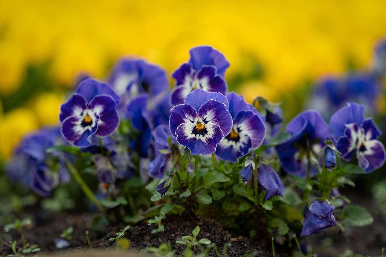 客户跟进有套路：10个英文销售跟进邮件模板，提高转化率