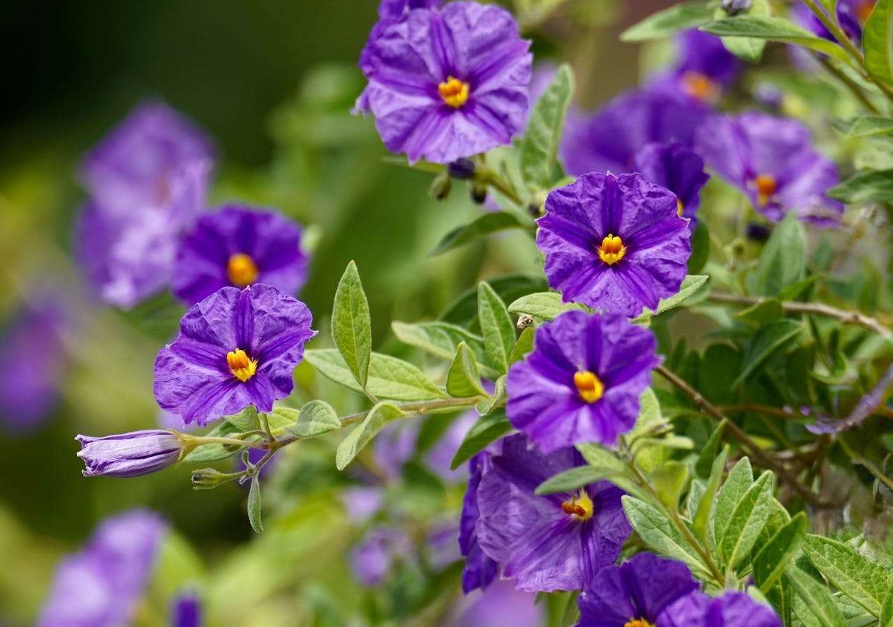 邮件也能赢订单：10个高转化率英文报价邮件模板合集