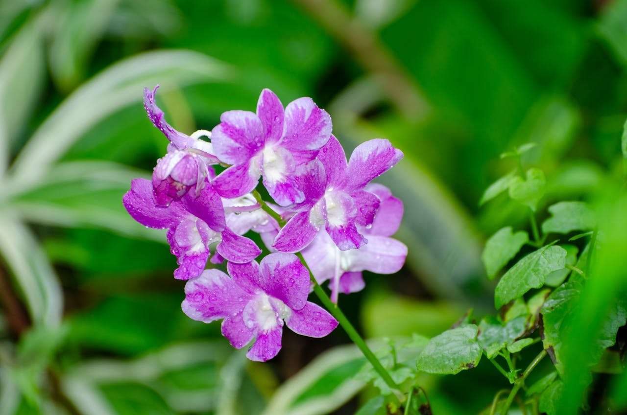 开发信怎么写？9个高打开率英文开发邮件模板分享