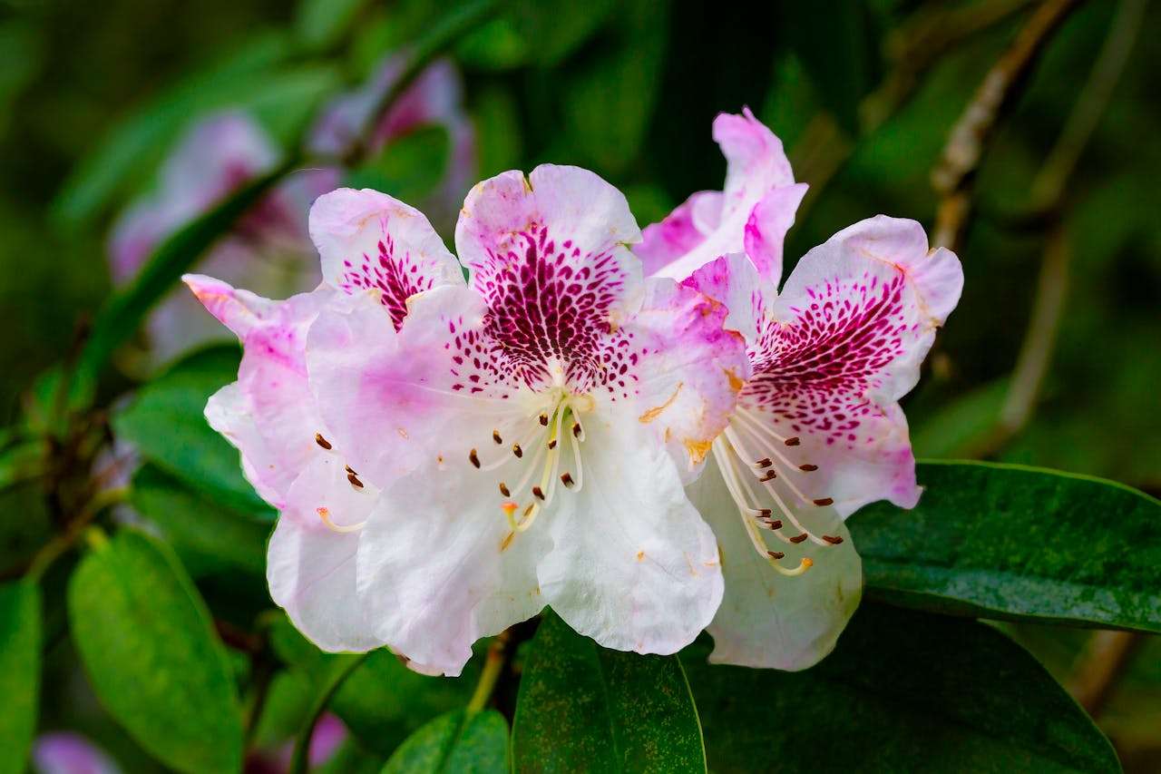 客户要样品？这8个英文样品申请与发送邮件模板你得会！