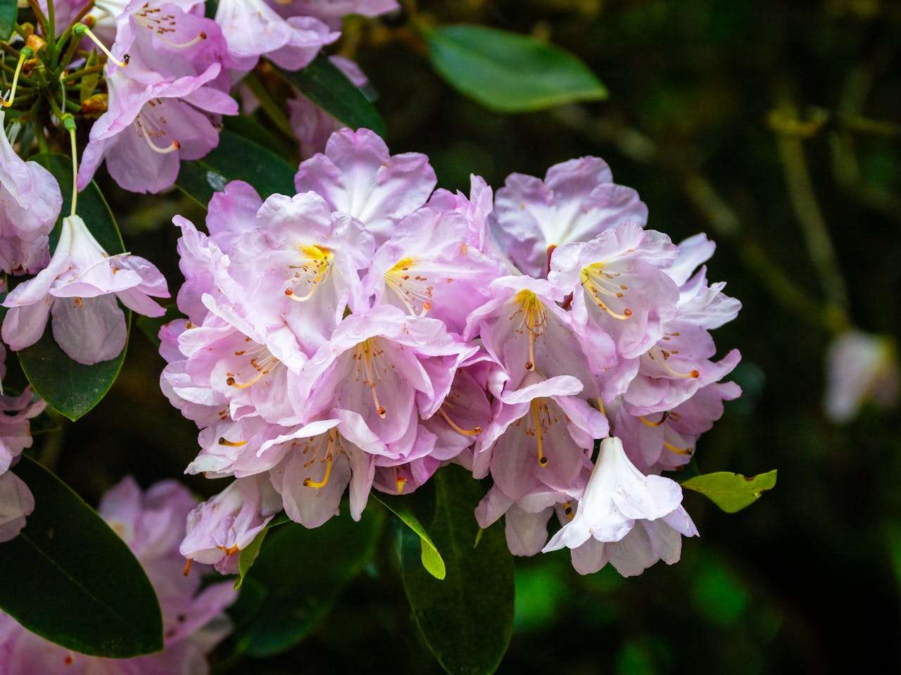 物流沟通不卡壳：7个英文货运与交货状态更新邮件模板