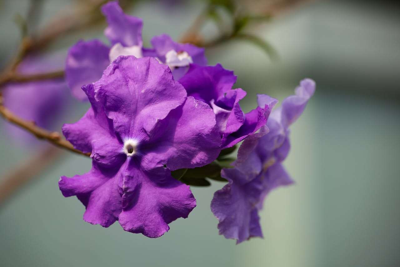 样品寄出后怎么跟进？9个英文邮件模板帮你锁定订单