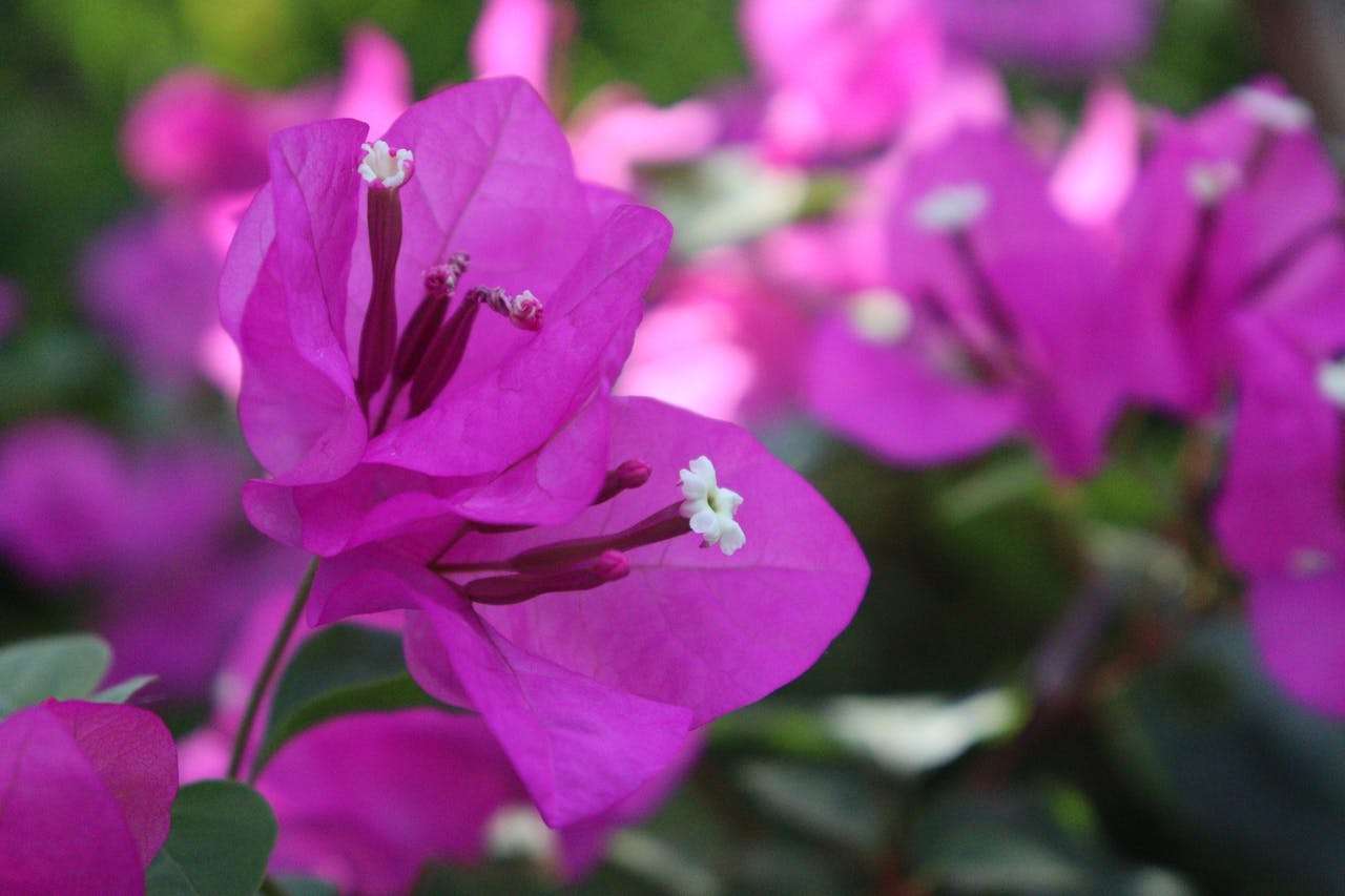 高效办公：9个英文邮件模板搞定日常商务沟通