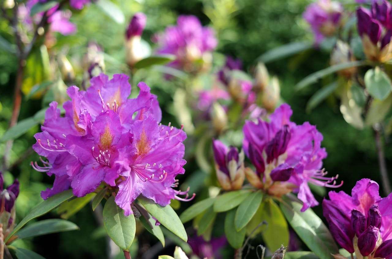 避免误解：9个清晰专业的英文订单确认邮件模板