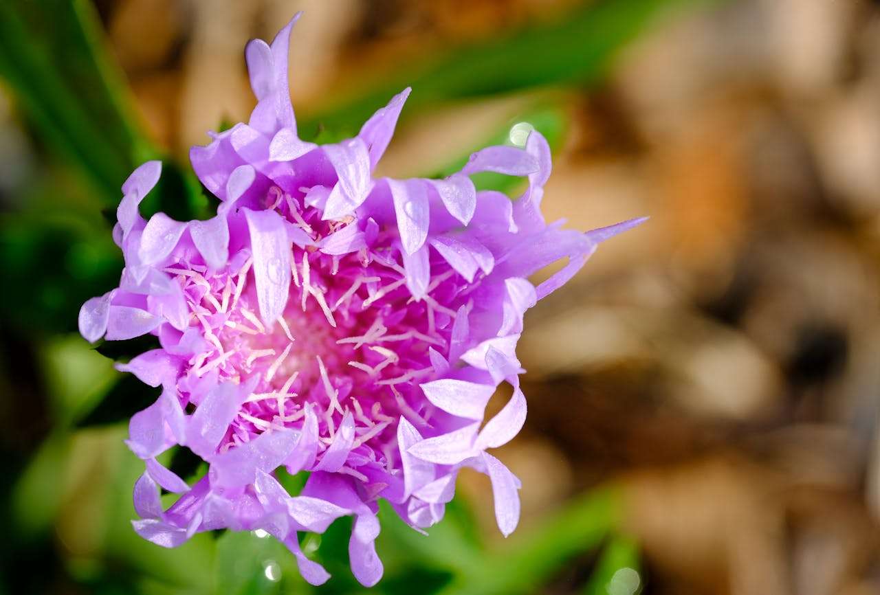 处理客户投诉不再慌：8个专业英文回复邮件模板