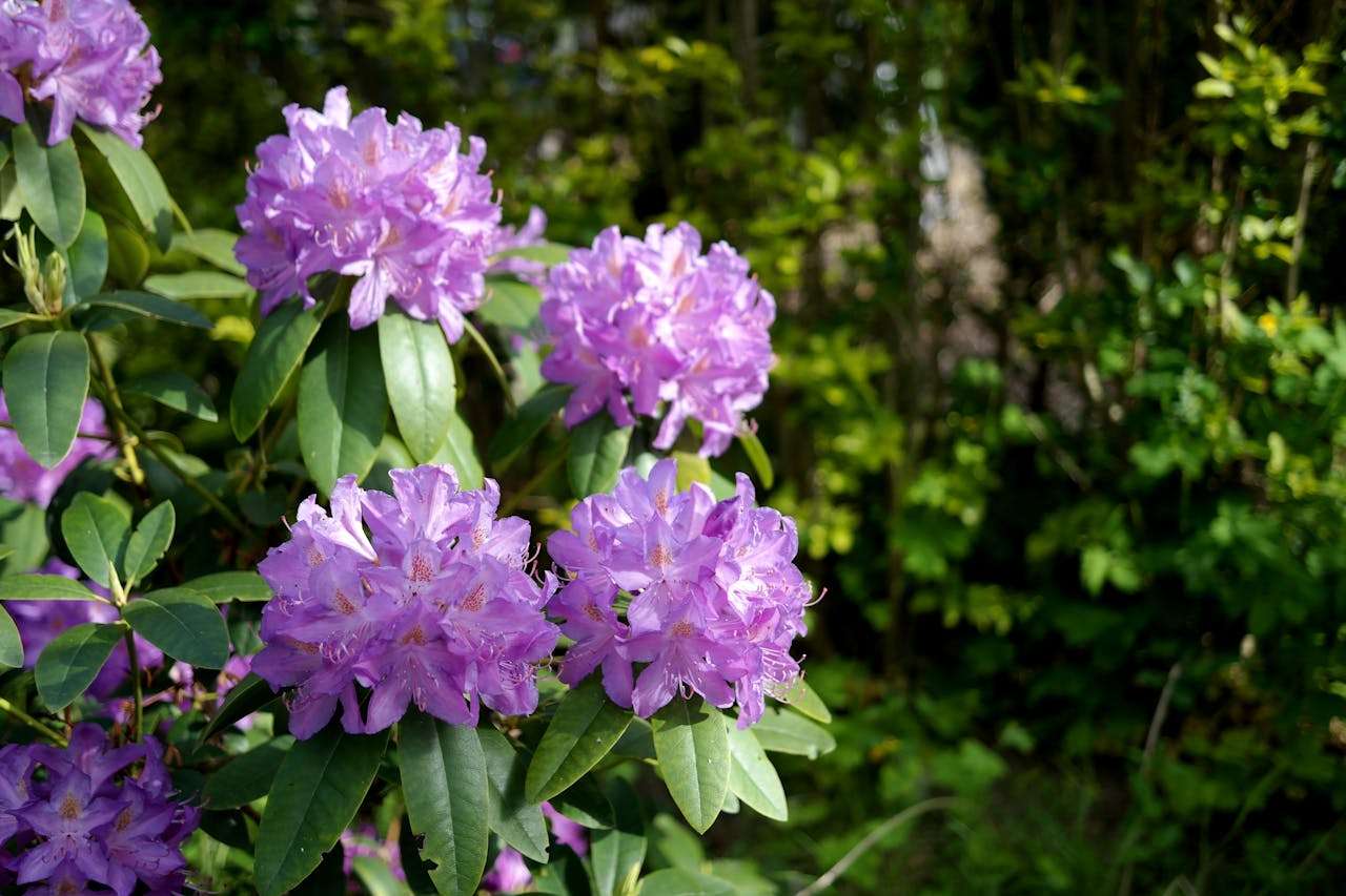 从开发到成交：7个外贸全流程英文邮件模板