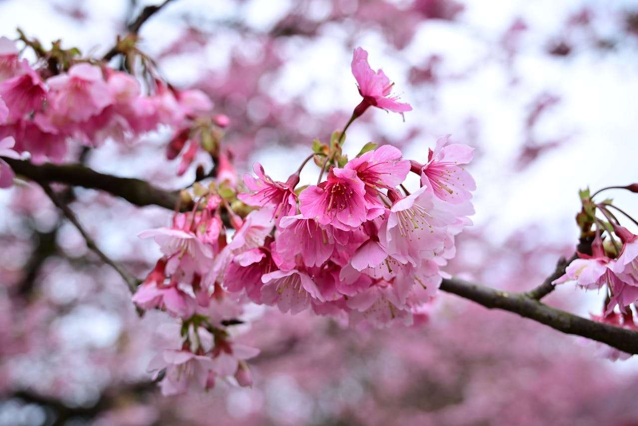 开发信总被忽略？优化你的英文开发邮件模板（附9个范例）