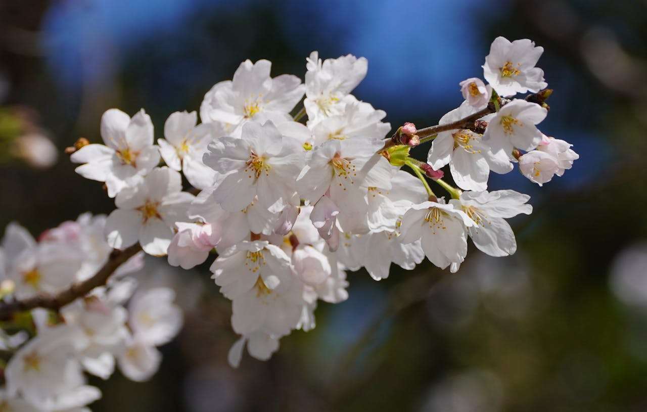 成交关键一步：9个专业英文报价邮件模板分享