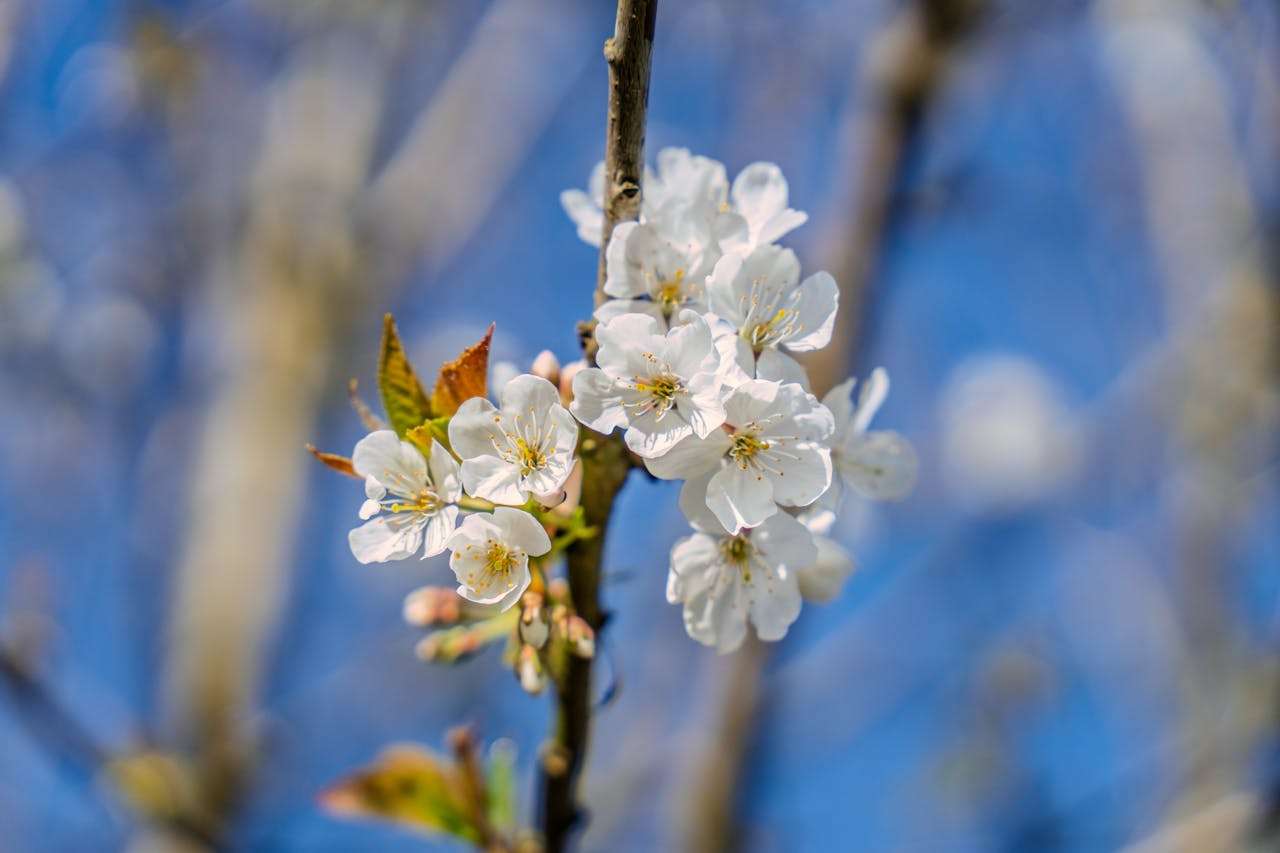 客户迟迟不回复？试试这7个英文跟进邮件模板，提高回复率