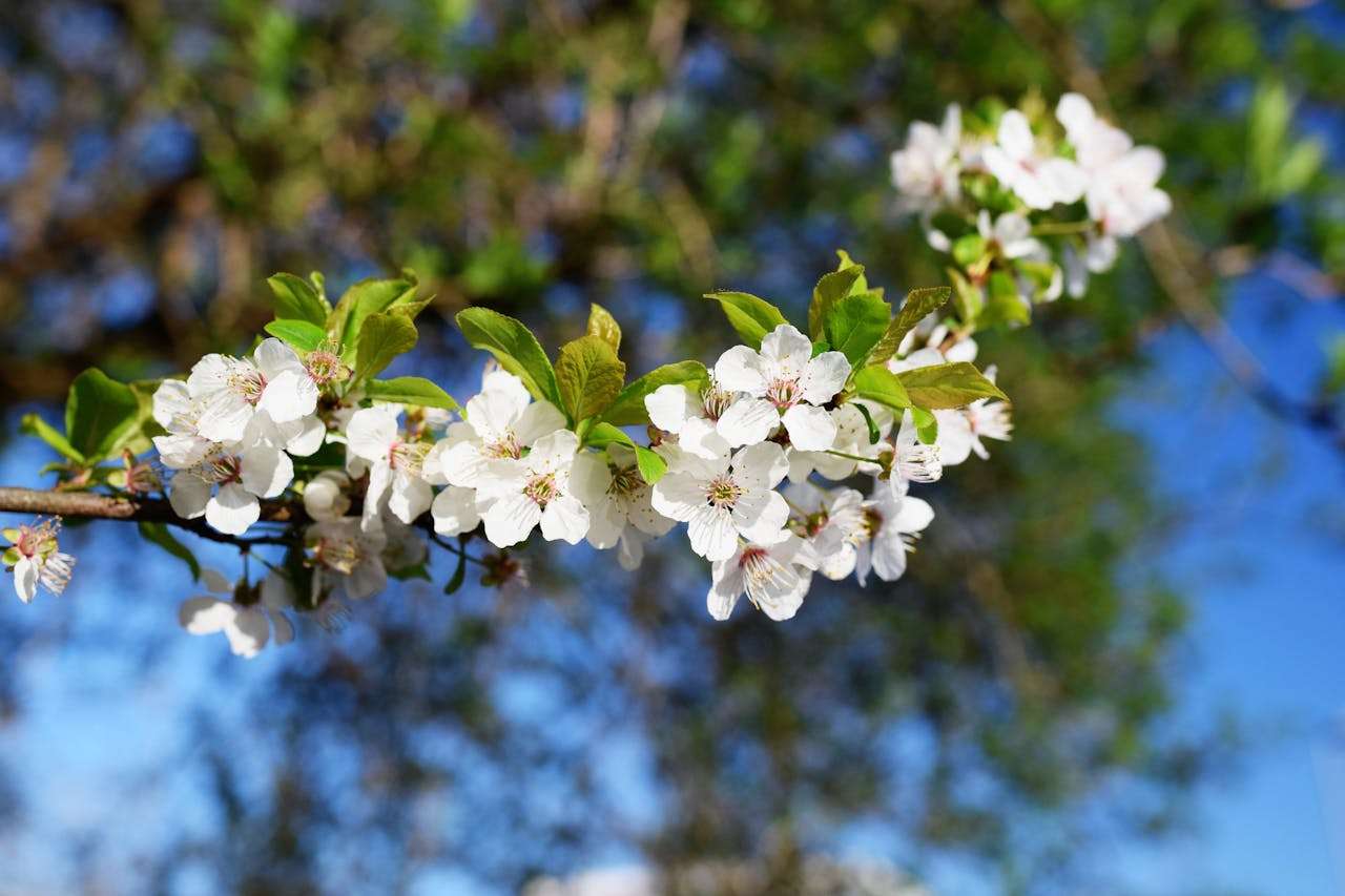 搞定海外客户：10个售后服务英文邮件模板分享