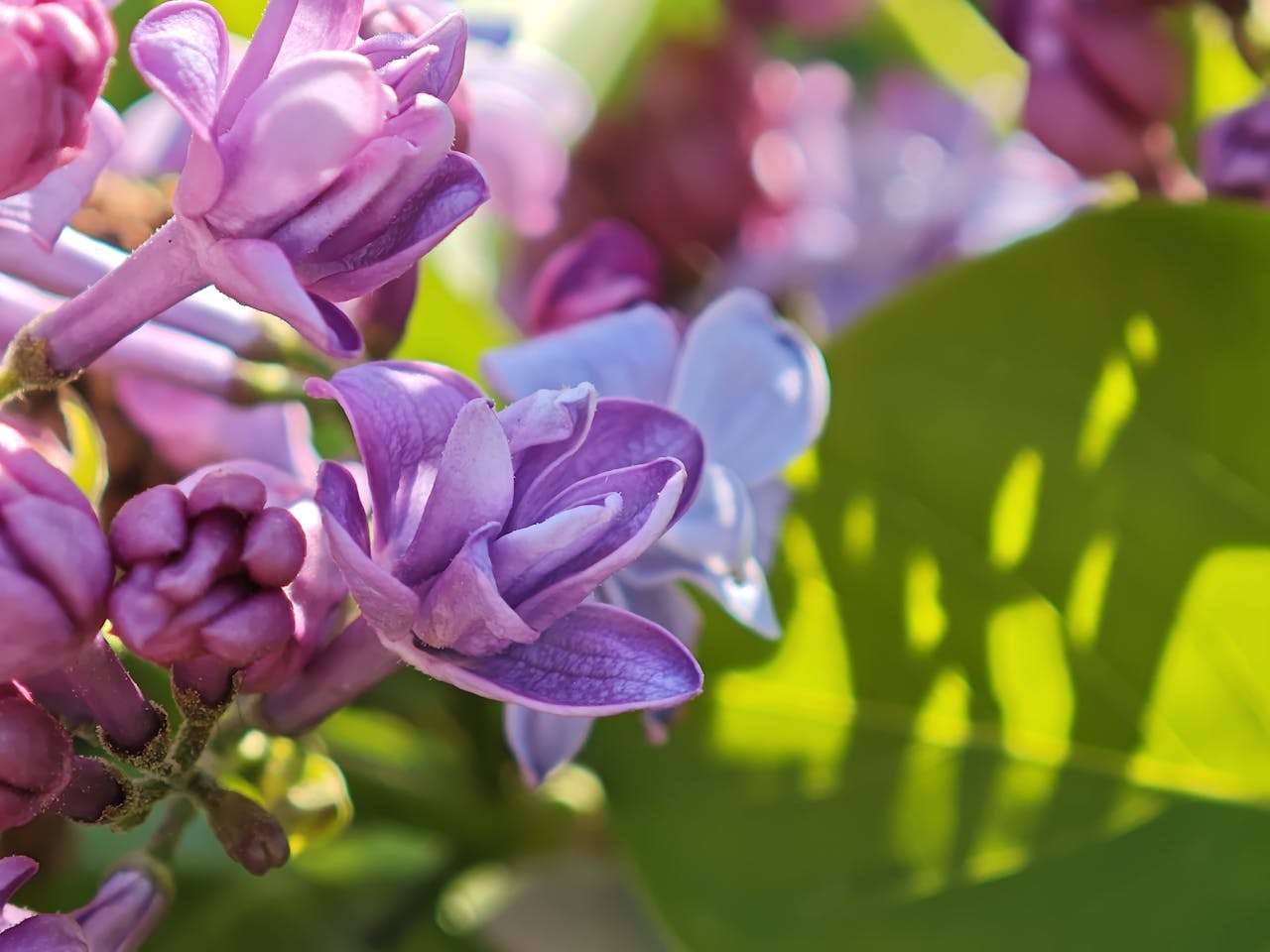 样品寄送全攻略：6个英文样品请求与跟进邮件模板