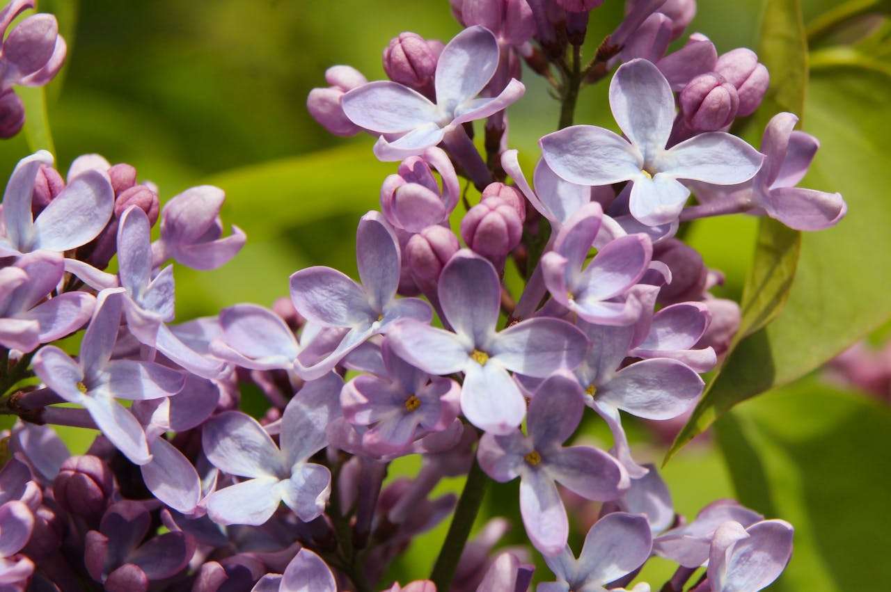 节日营销不抓瞎：7个英文节日促销邮件模板 