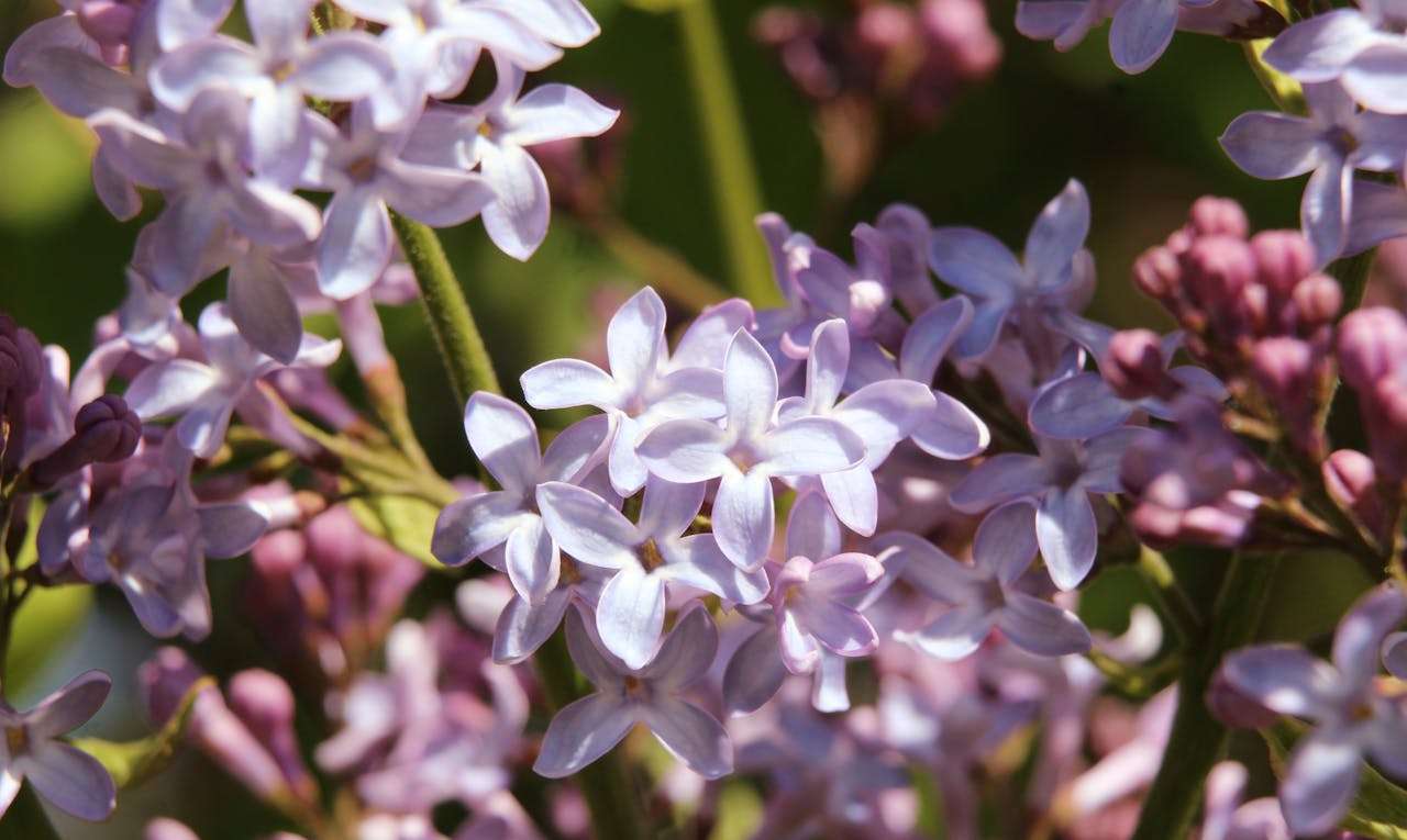 避免误解！10个清晰表达的英文邮件模板，提升跨文化沟通效率