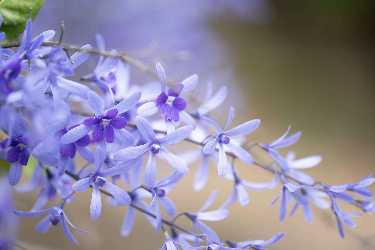 高效沟通利器：9个英文邮件模板搞定客户催款与付款提醒