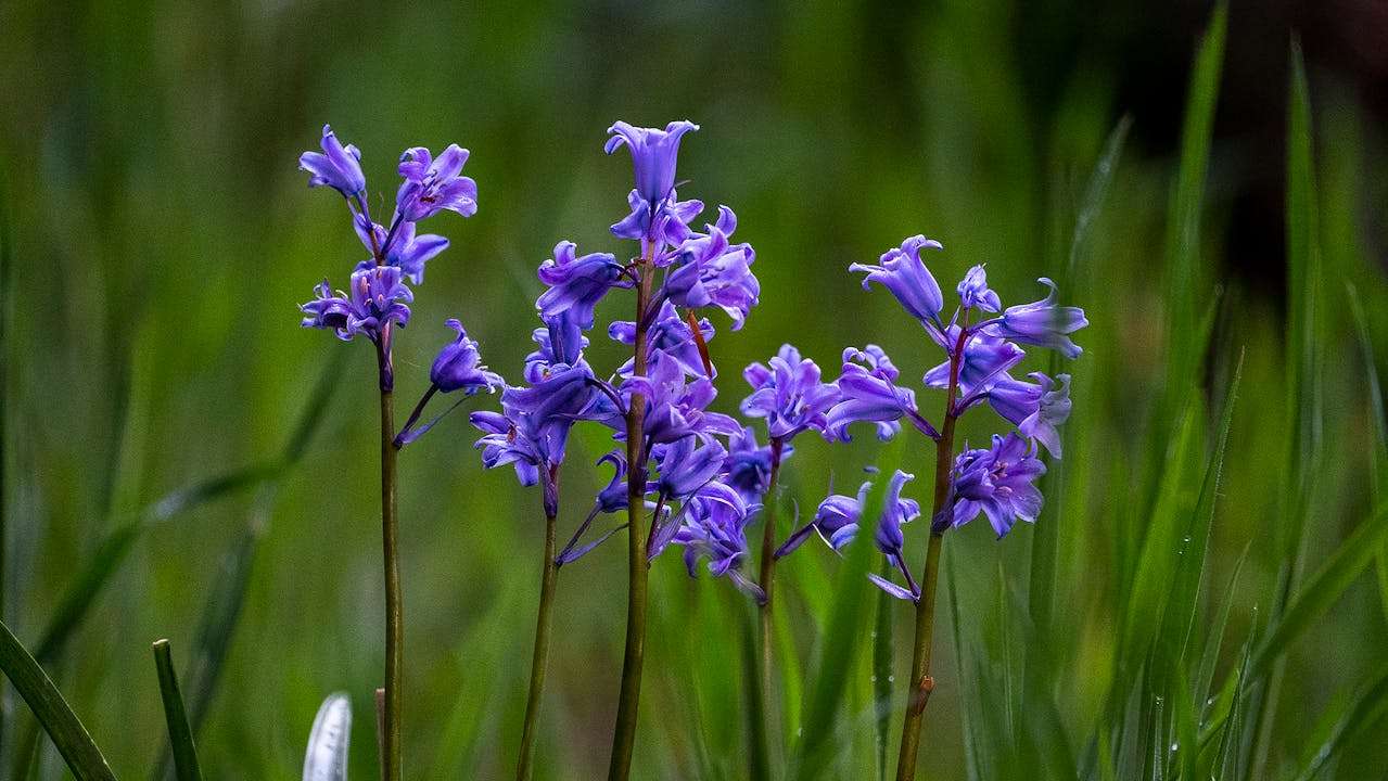 新手上路不慌张：8个基础商务英语邮件模板，快速掌握职场沟通