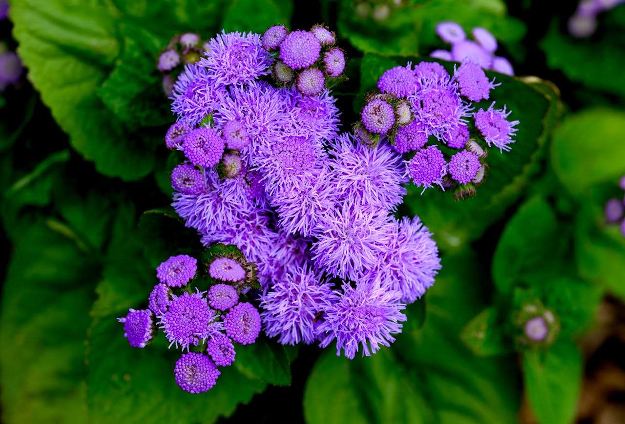 客户迟迟不回复？试试这6个英文催回复邮件模板！