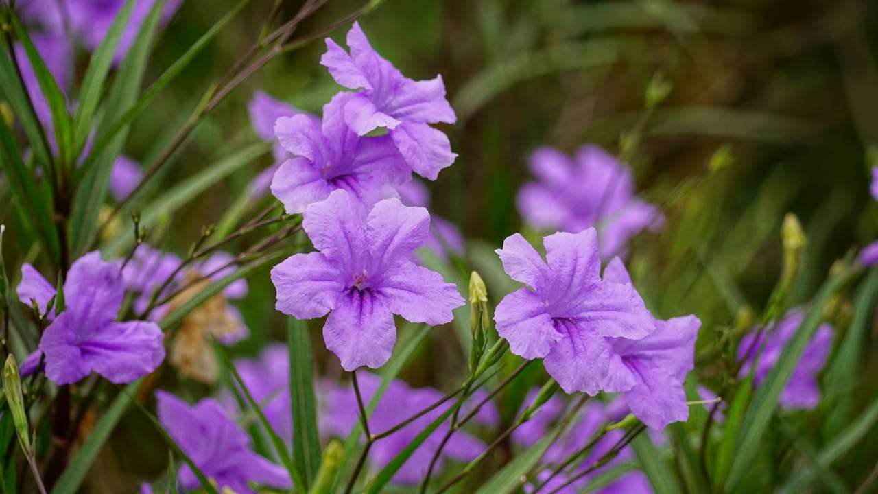 新手外贸业务员必看：8个基础英文邮件模板轻松上手！