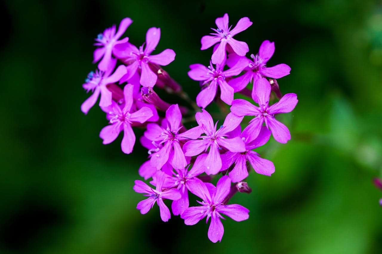 提升专业形象：7个英文会议邀约与会议纪要邮件模板