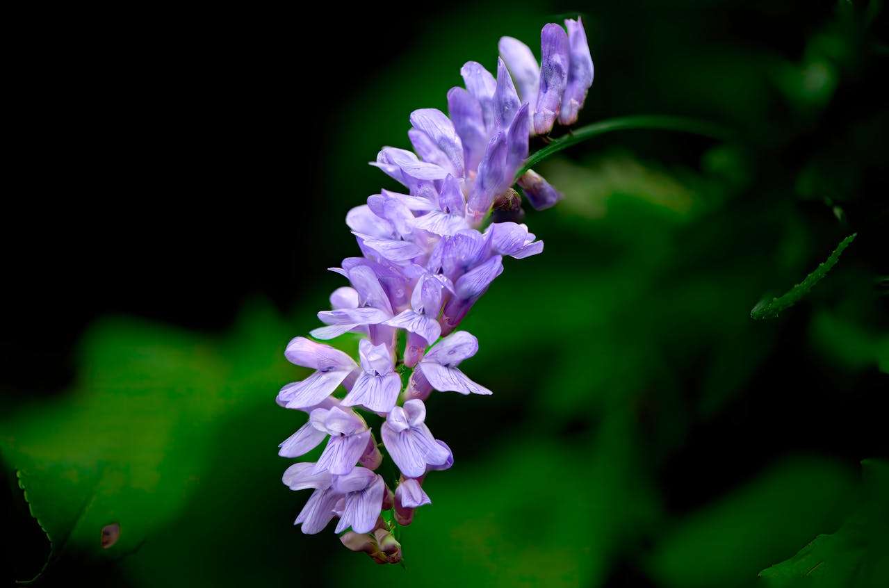 避免沟通失误：9个英文样品申请与寄送邮件模板全解析