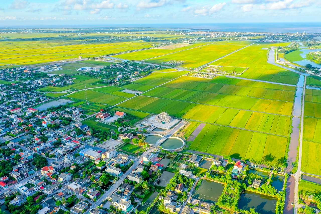 假期经历类英语作文4篇：让描述更生动的写作秘诀