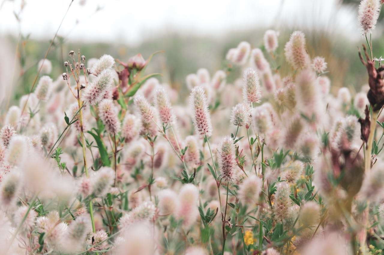 我的学校生活：初中英语作文5篇合集，涵盖学习与课外活动