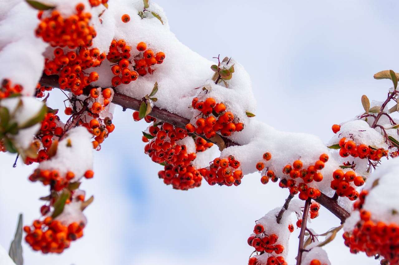 节日营销怎么做？8个英文节日促销邮件模板