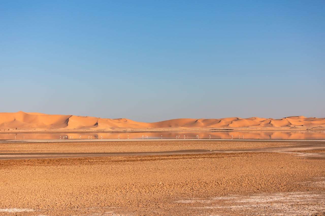 客户投诉怎么办？9个售后处理英文邮件模板轻松应对