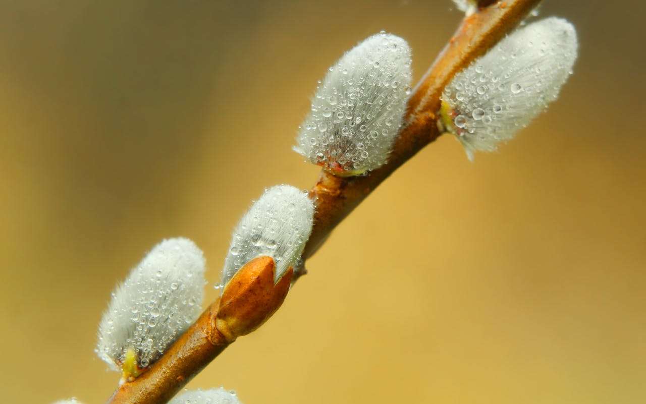 新手外贸业务员必看：12个实用英文邮件模板一键收藏