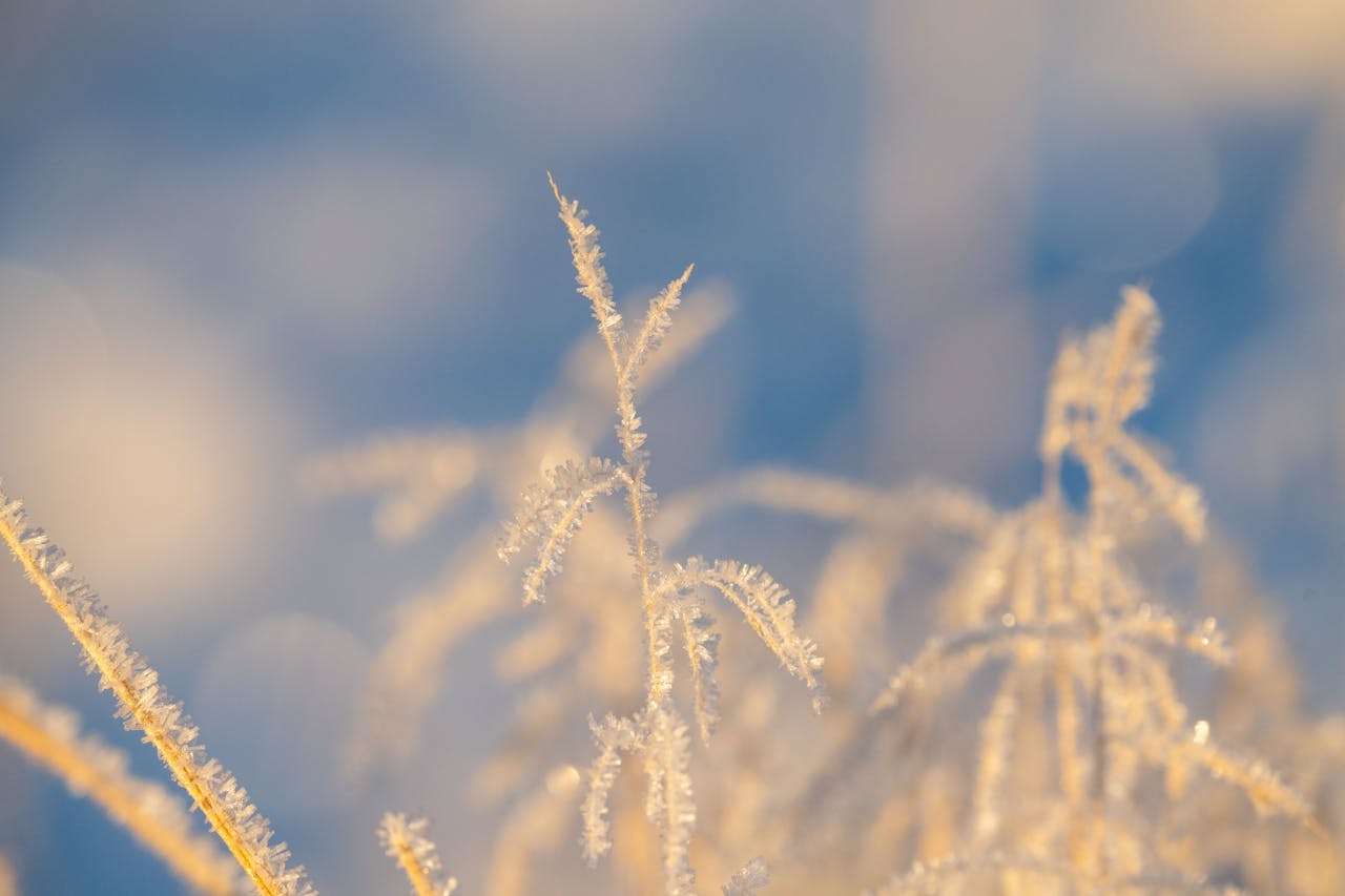 订单确认无烦恼：8个订单跟进英文邮件模板汇总