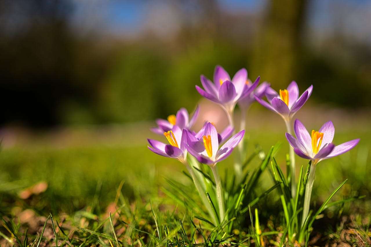 校园生活怎么写？6篇“我的学校”小学英语作文