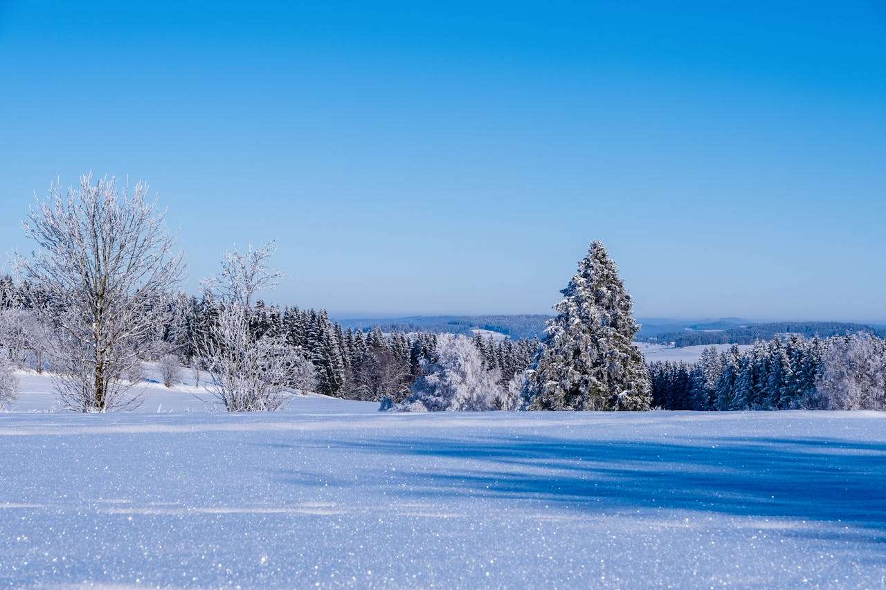 节日营销不缺席：7个英文节日促销邮件模板推荐