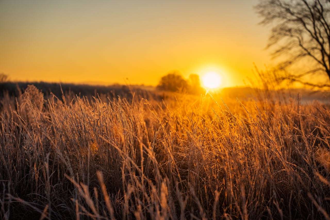 合作更顺畅：5个英文合同与条款确认邮件模板