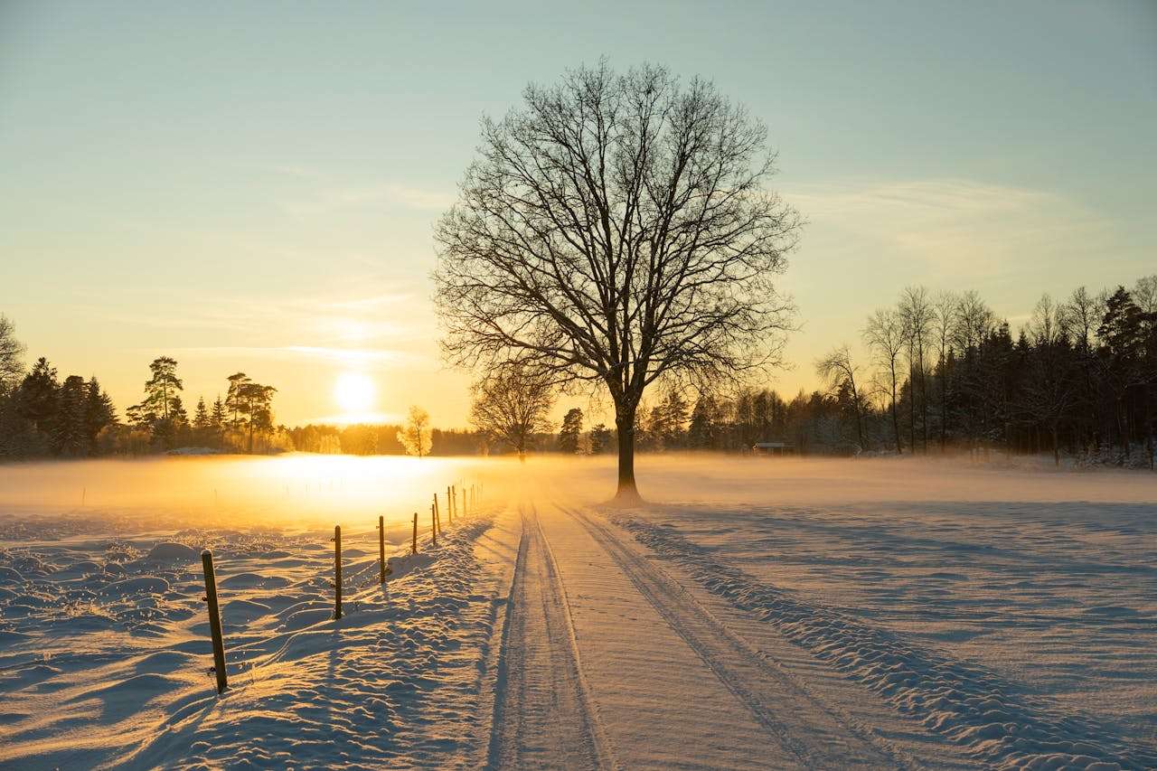 客户投诉怎么办？9个英文售后处理邮件模板冷静应对