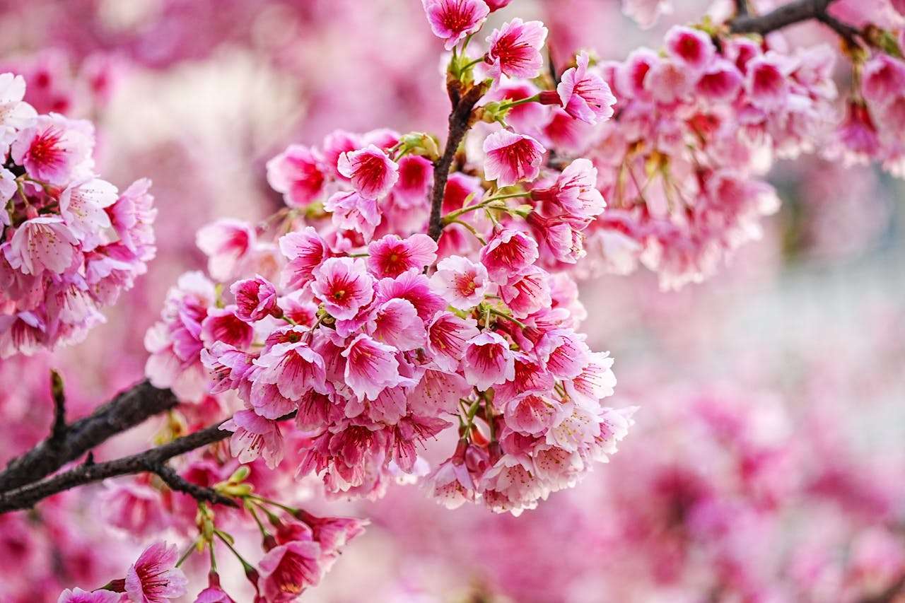 节日营销不抓瞎：8个英文促销邮件模板提升转化率