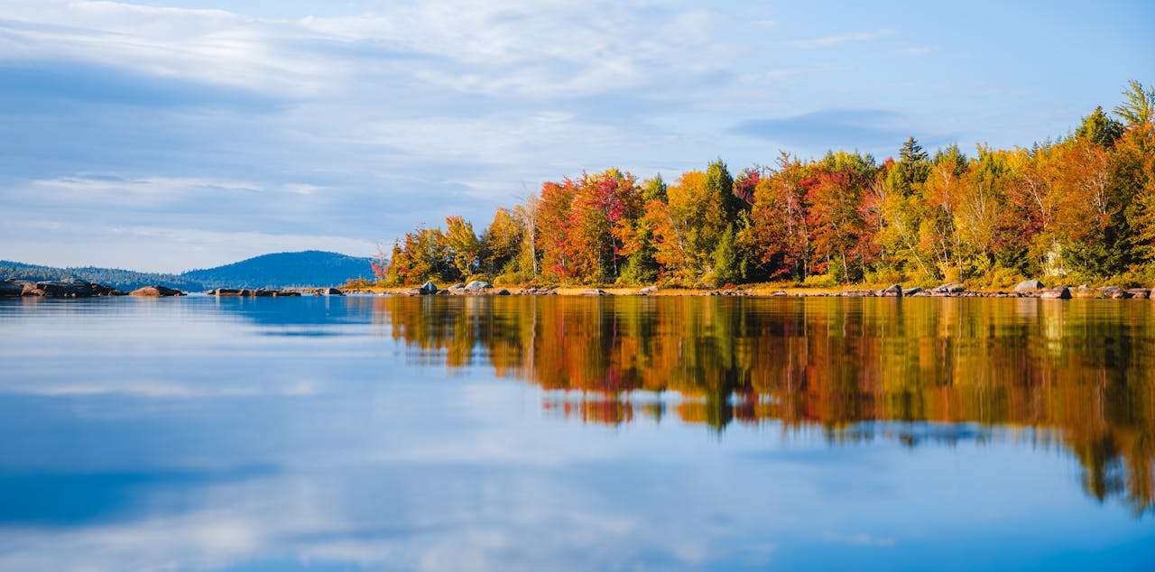 外贸人必备：10个高频英文邮件模板，轻松搞定客户沟通