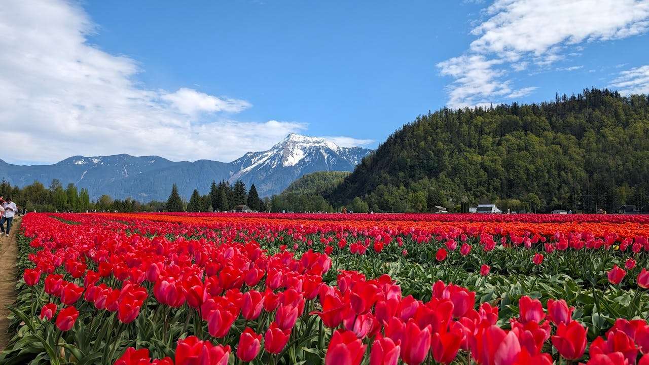 高效协作：5个英文工作汇报与进度更新邮件模板（职场必备）